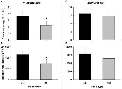 Effect of the Silica Content of Diatoms on Protozoan Grazing